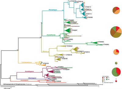 Forage Rotations Conserve Diversity of Arbuscular Mycorrhizal Fungi and Soil Fertility